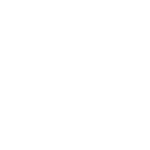 Page & Website Audits Page & Website Audits