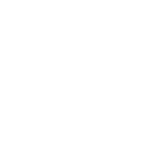 Custom Data Analytics & Visualization Custom Data Analytics & Visualization