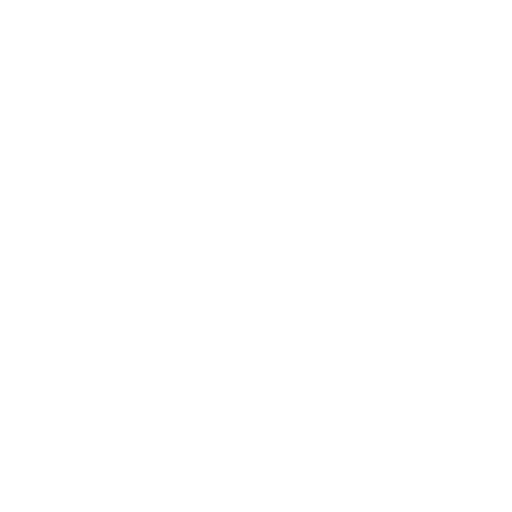wordpress development wordpress development